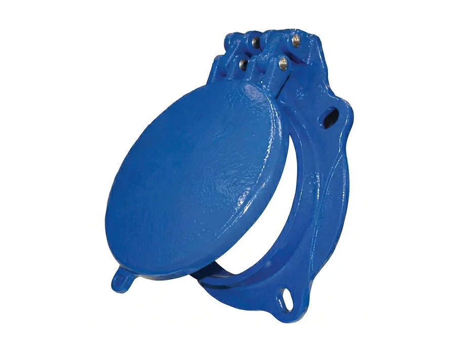 Check Valves
